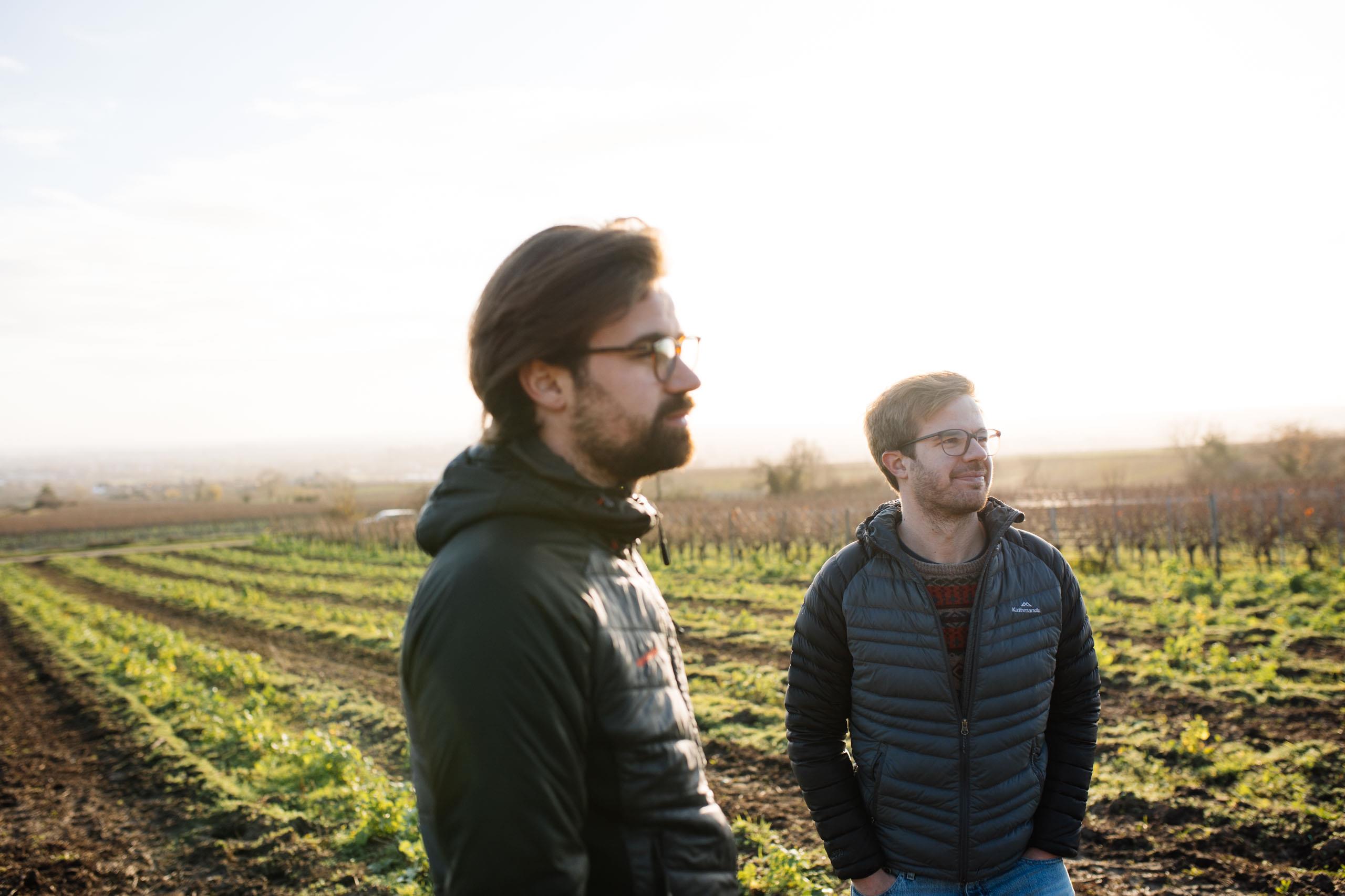 WEINGUT SCHEUERMANN(ショヤマン)