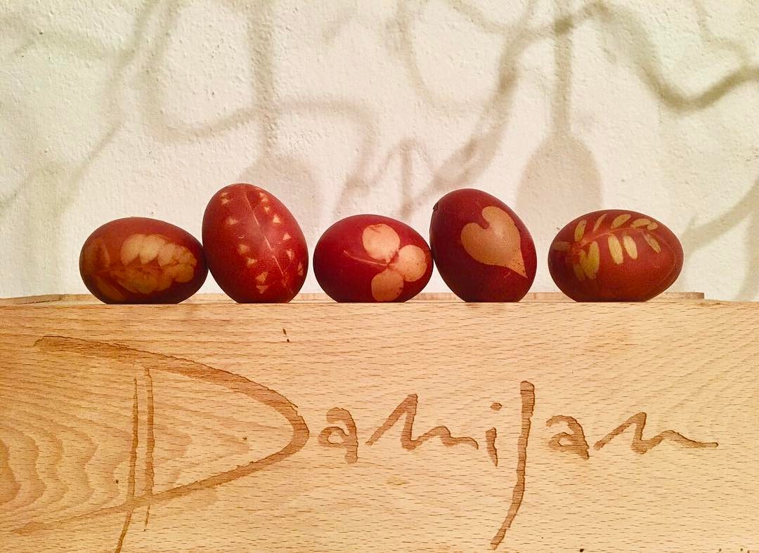 Damijan Podversic(ダミアン ポドヴェルシッチ)