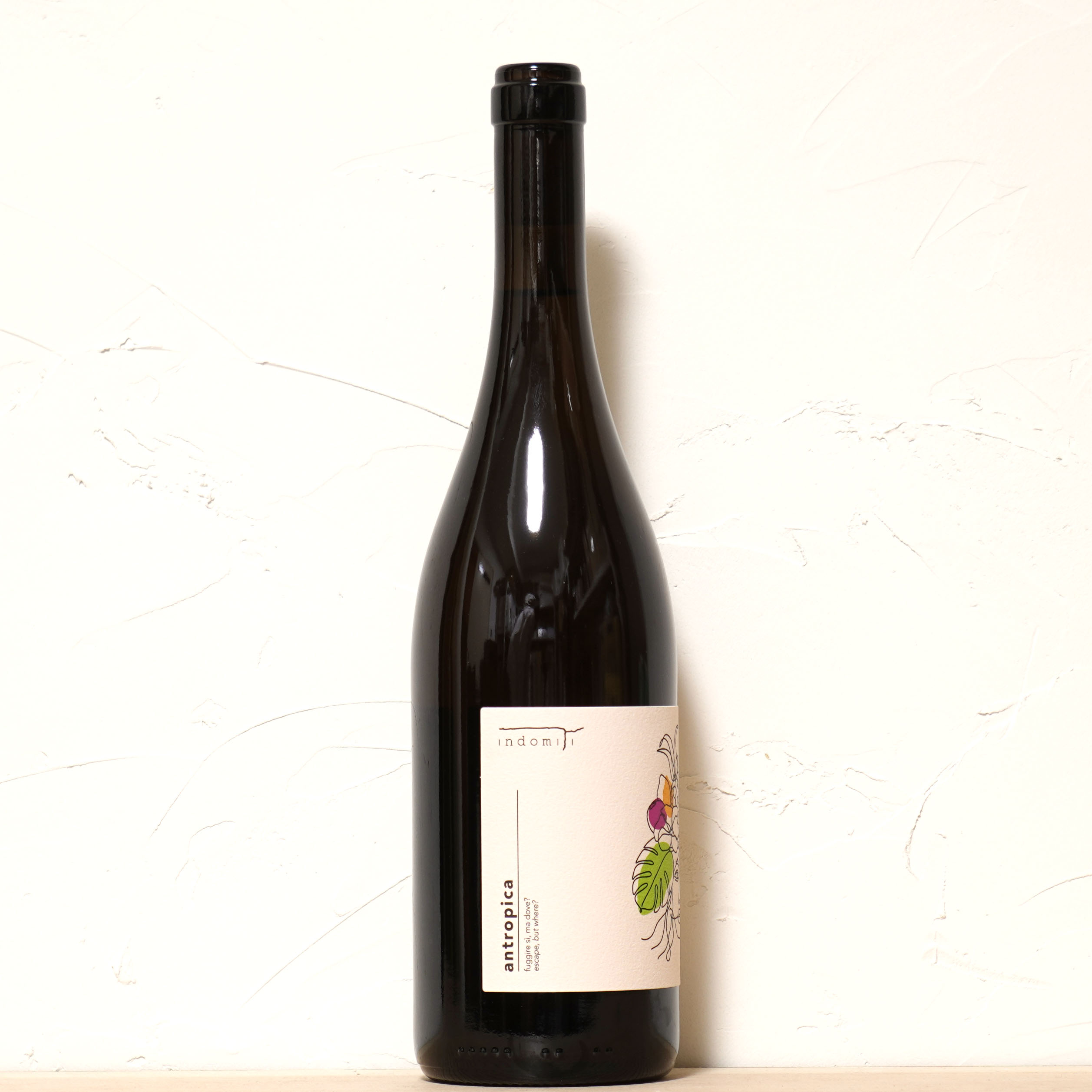 アントロピカ 2023-インドミティ