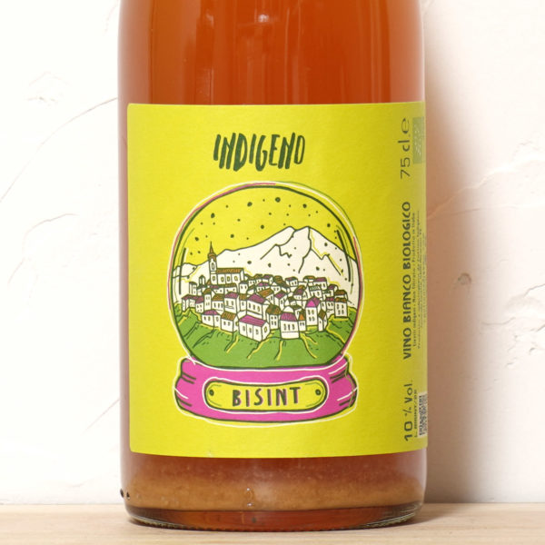 ビシント 2022-カンティーナ・インディジェノ