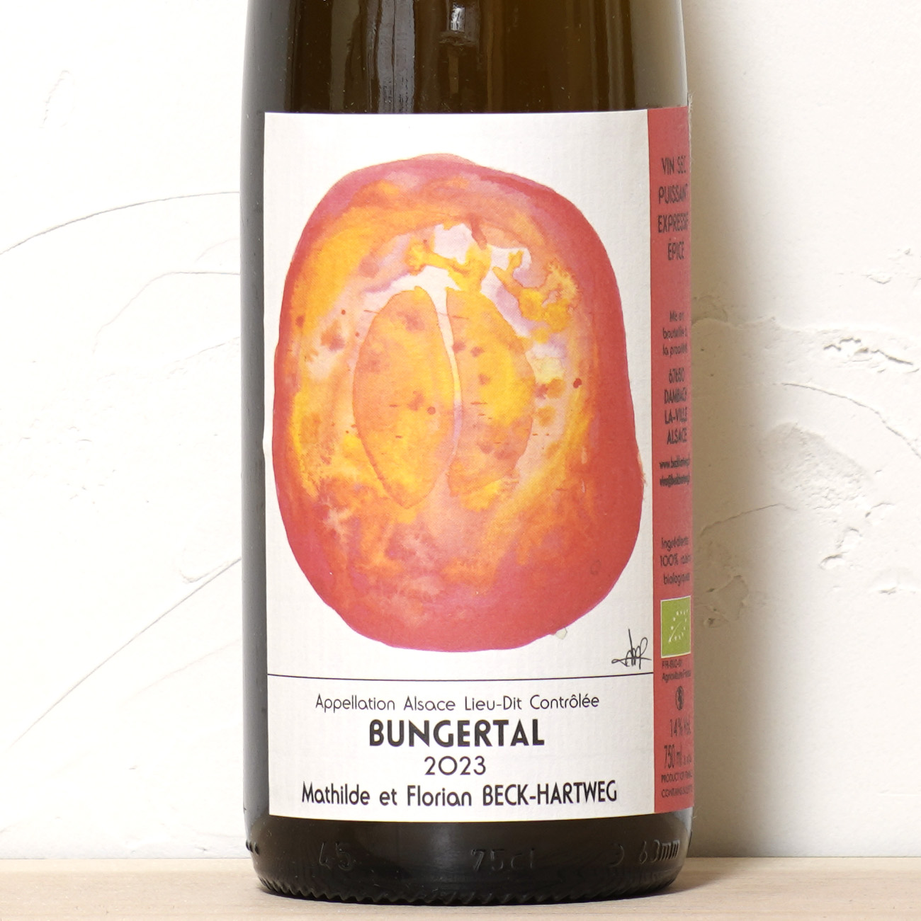 ブンゲルタル 2023-マチルダ エ フロリアン　ベック・ハートウェグ