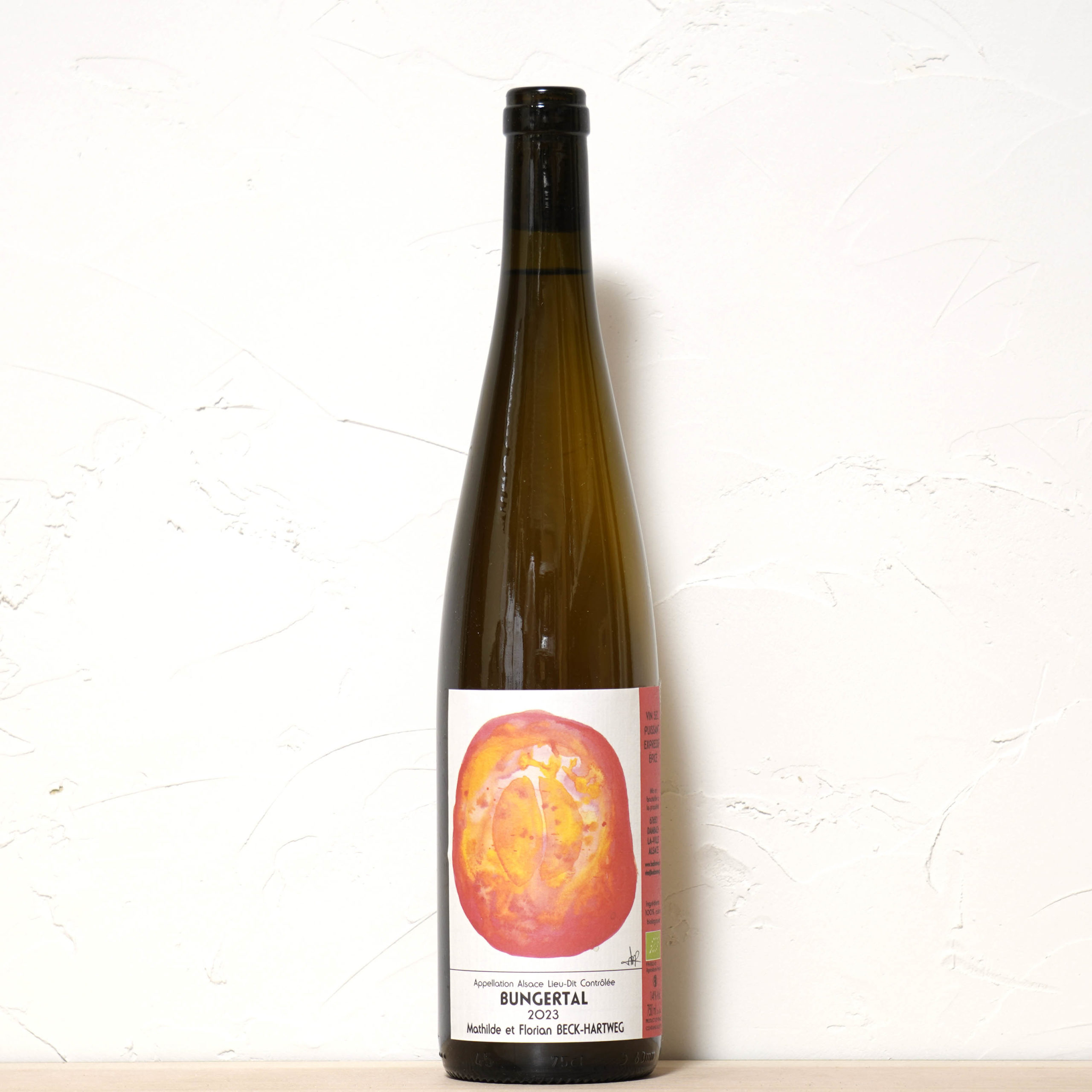 ブンゲルタル 2023-マチルダ エ フロリアン　ベック・ハートウェグ