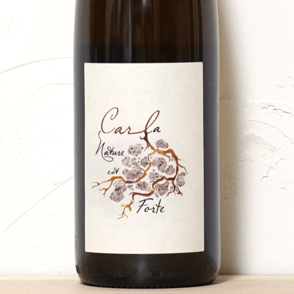 カール・ラ・ナチュール・エ・フォルト 2022-オリヴィエ・カルル