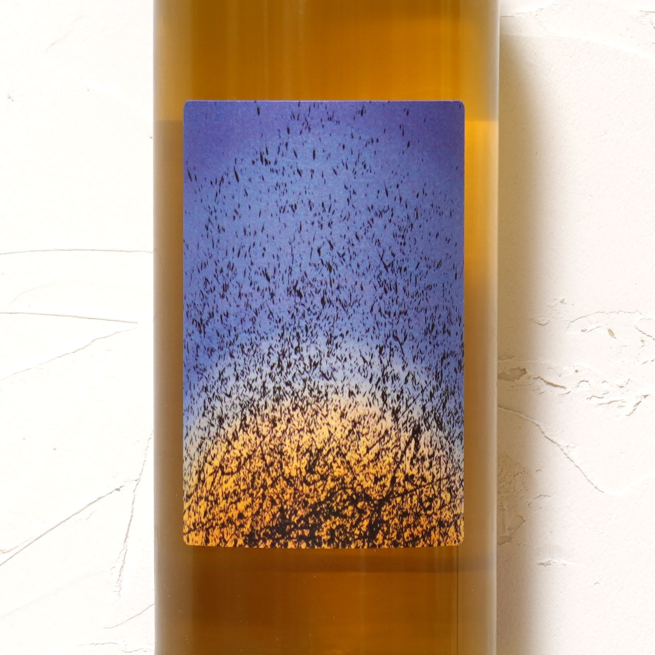 ELIGIO BLANCO 2024-MARIA BORTOLOTTI