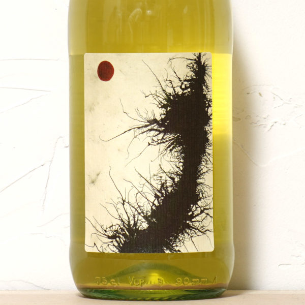 ファレスタ ピニョレット 2024-マリア・ボルトロッティ