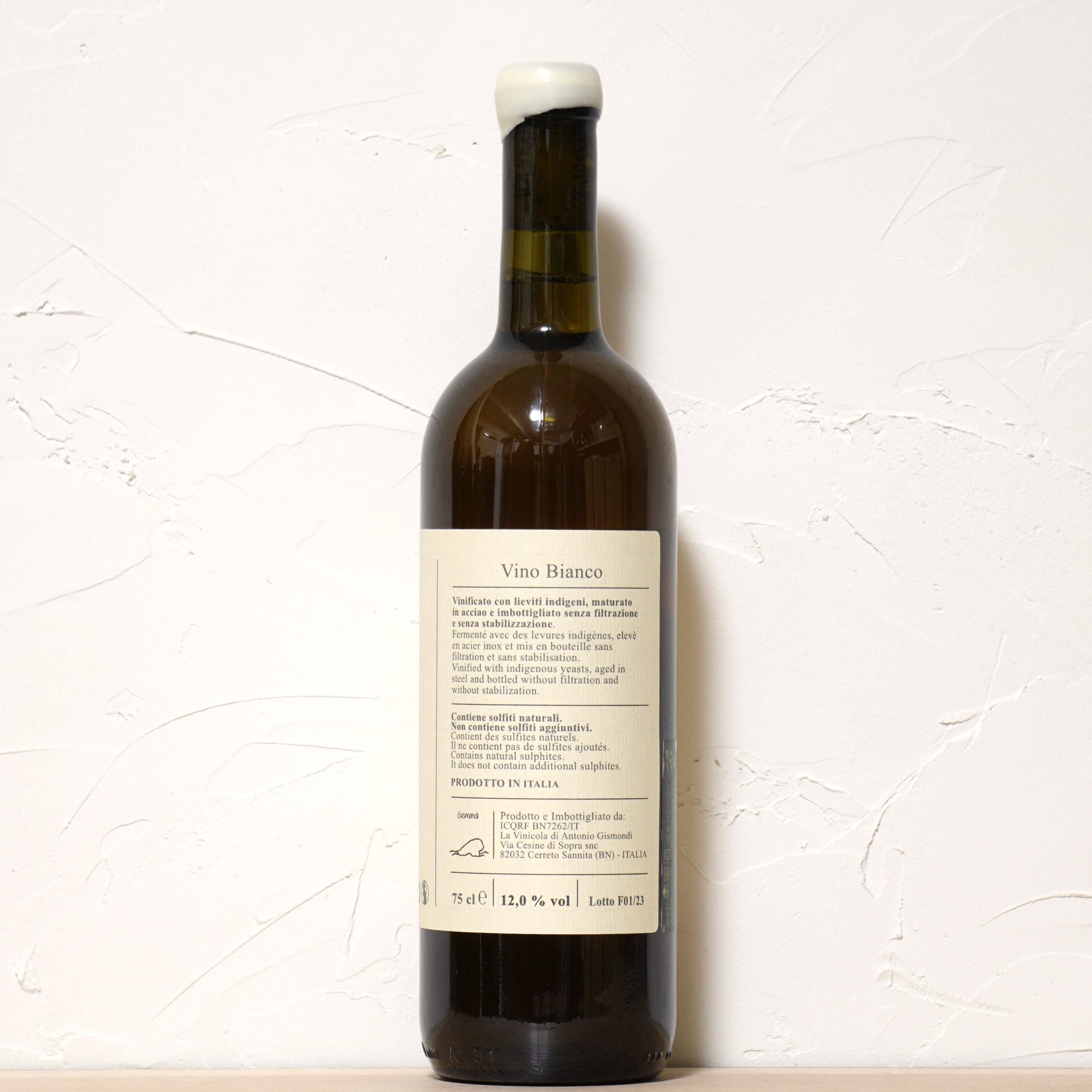 Fontana 2023-Gismondi