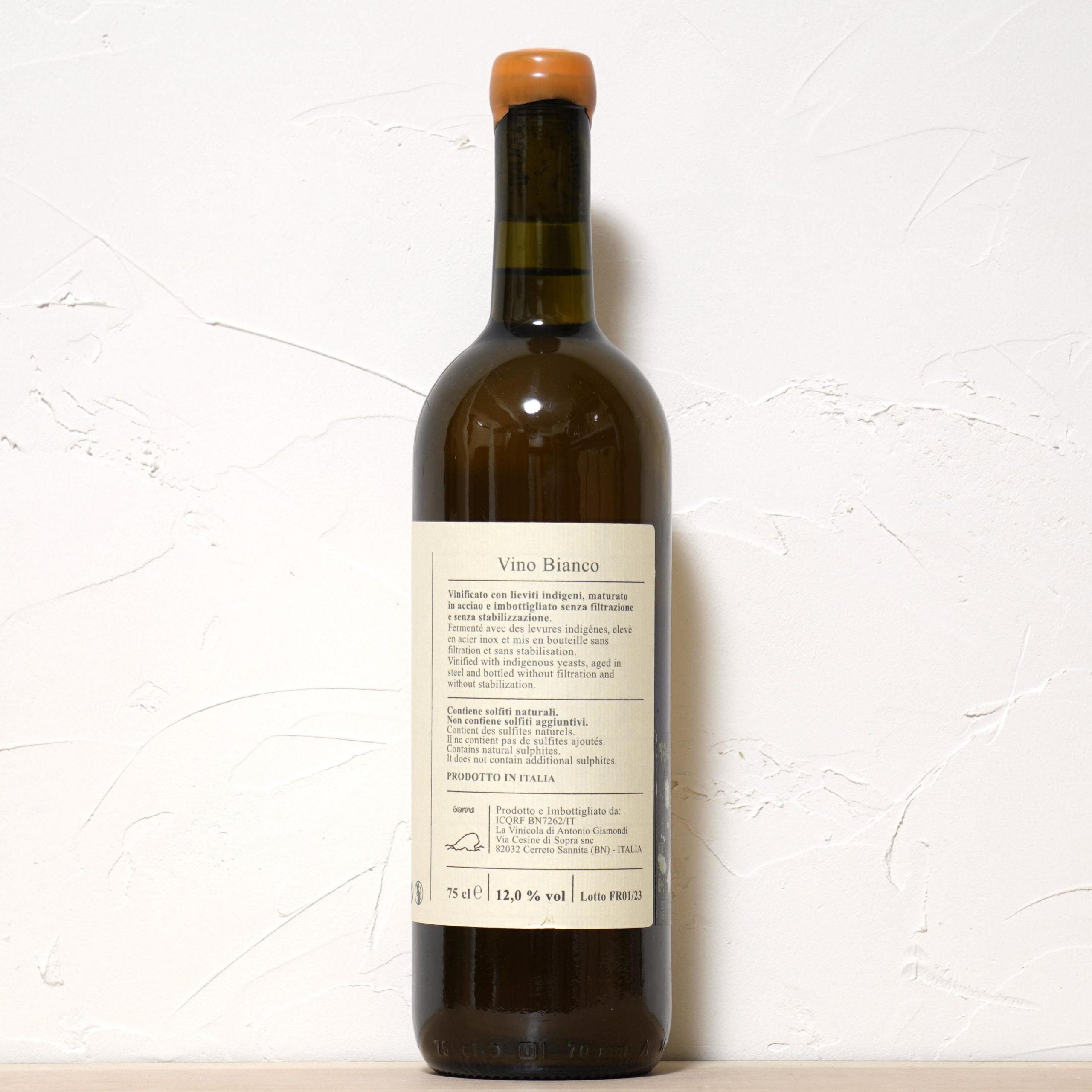 Foresta 2023-Gismondi