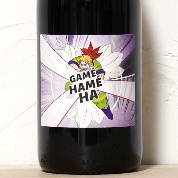 ガメ・ハメ・ハ 2023-レ・ドゥー・ フォーヴ