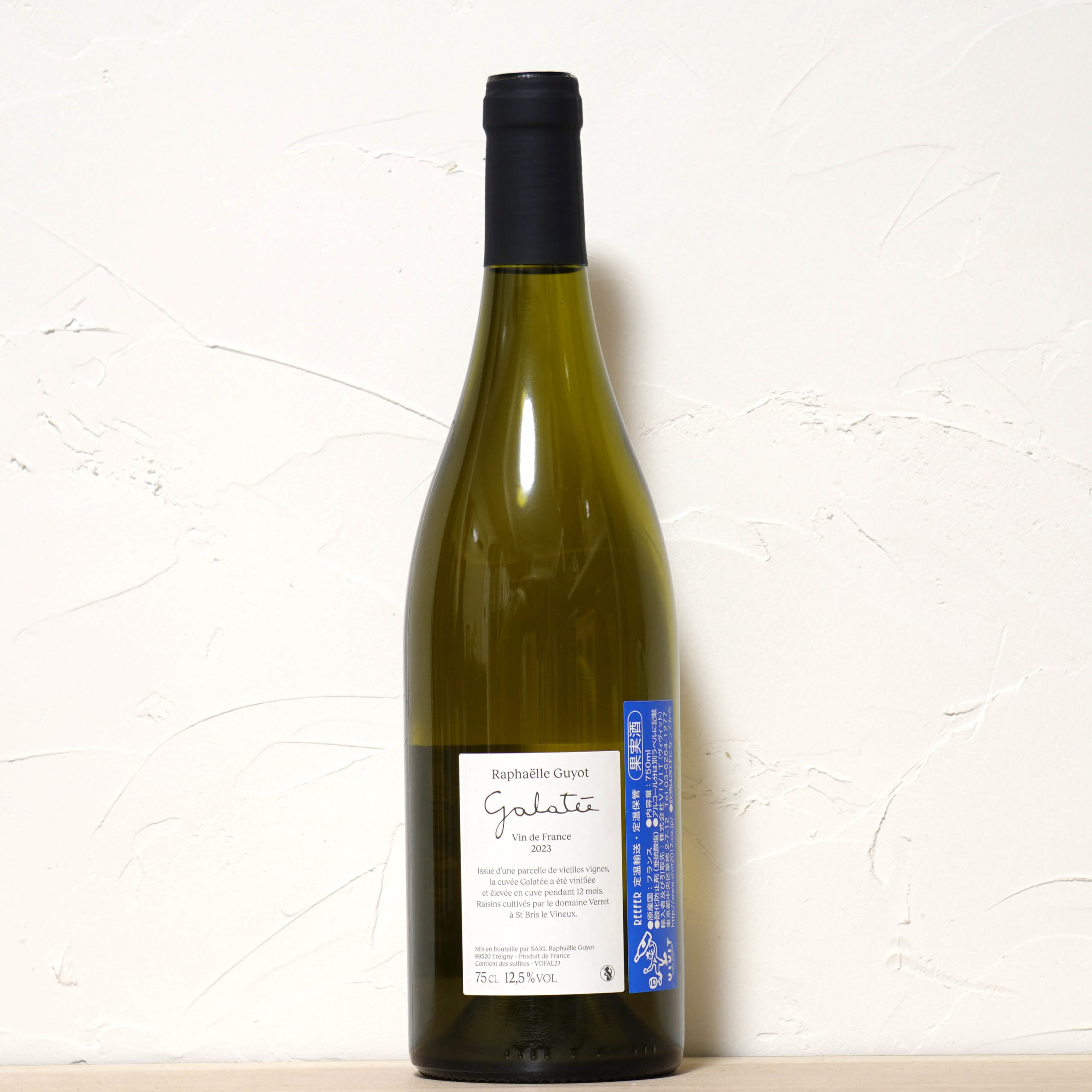 Galatée 2023-RAPHAELLE GUYOT