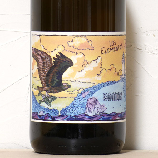 ロス・エレメントス アンバー 2024-ソモス