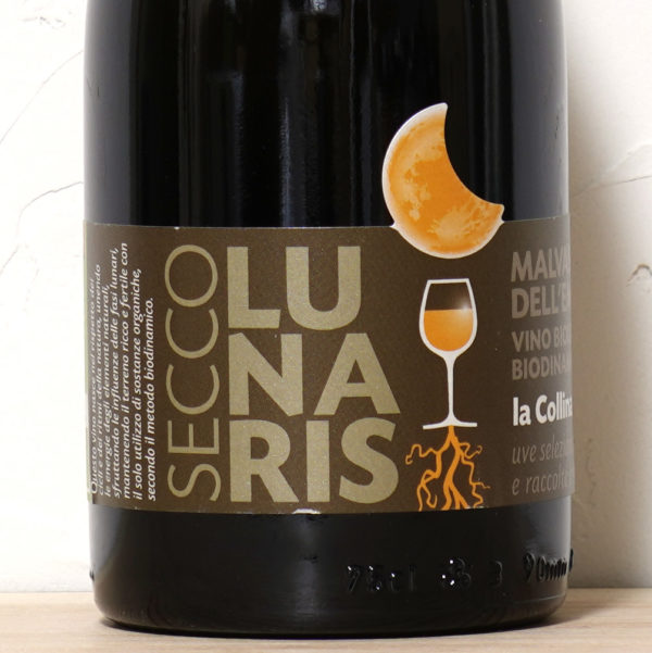 ルナーリス セッコ 2024-ラ　コッリーナ