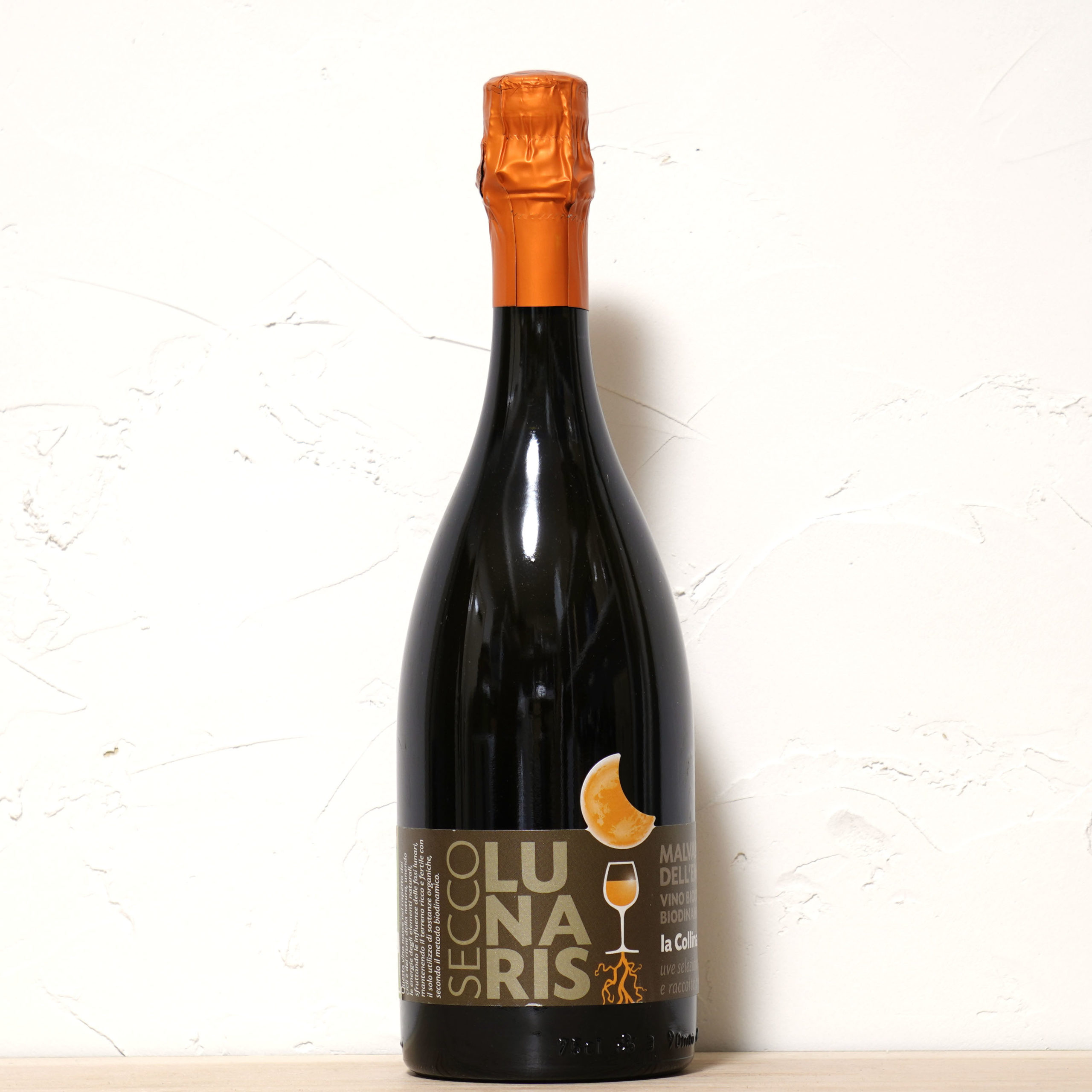 ルナーリス セッコ 2024-ラ　コッリーナ