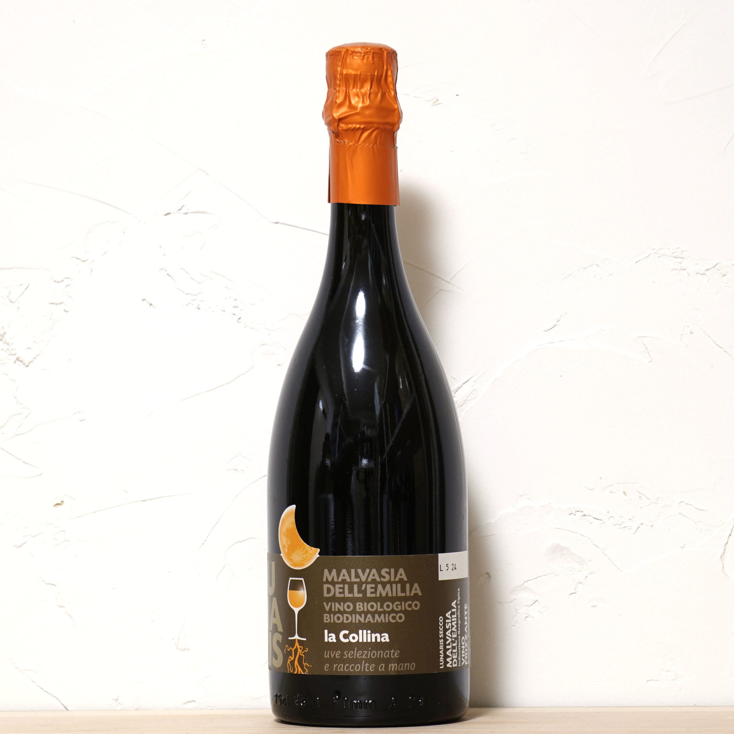 ルナーリス セッコ 2024-ラ　コッリーナ