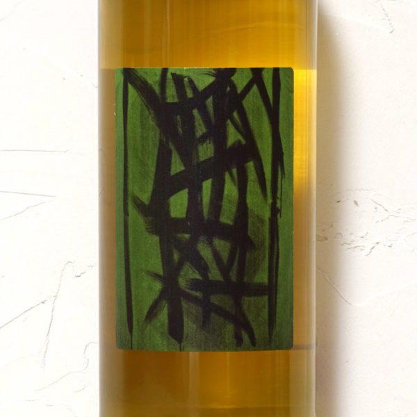 マモロ・ピニョレット 2024-マリア・ボルトロッティ