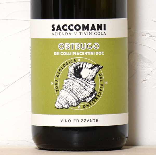 オルトゥルゴ 2022-サッコマーニ