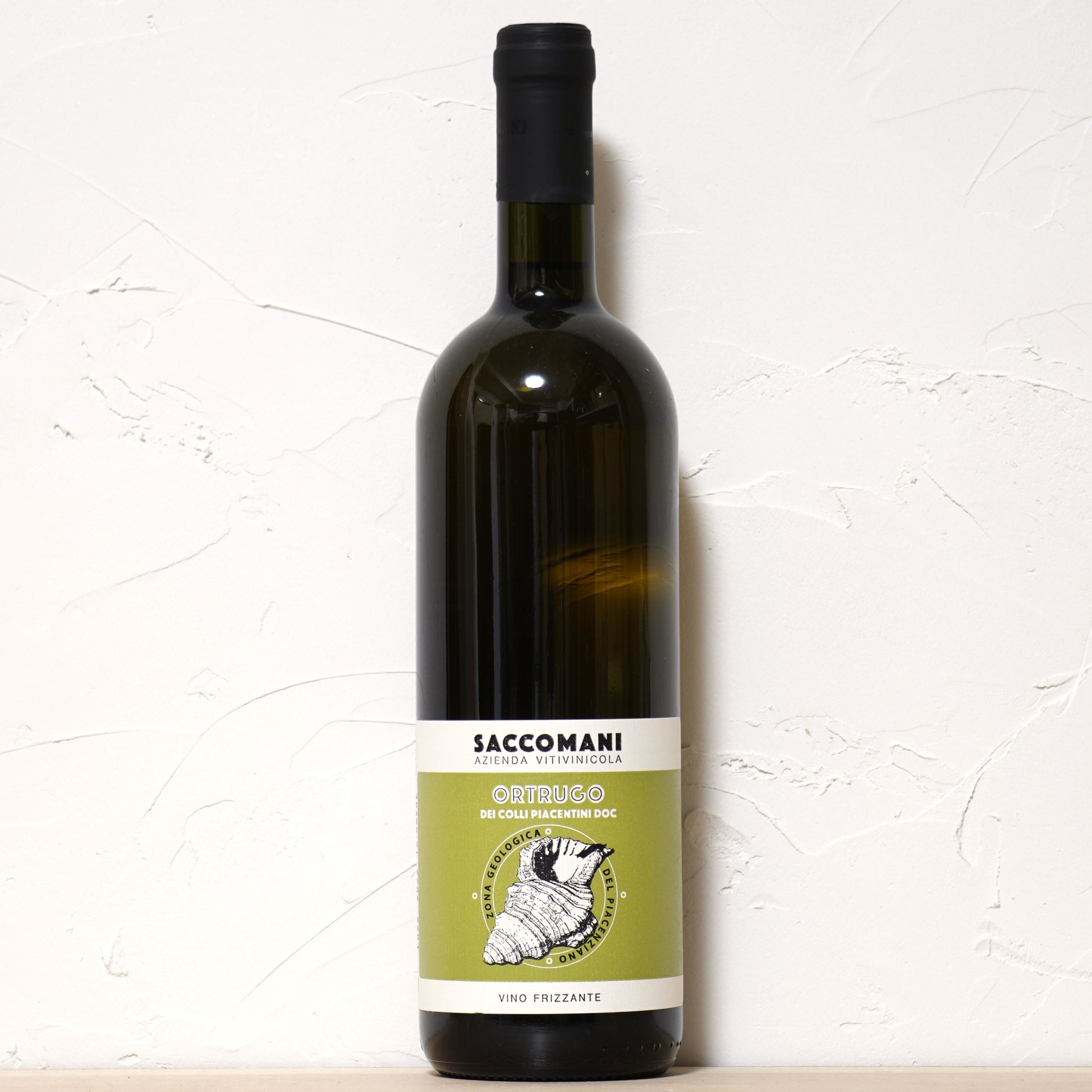 オルトゥルゴ 2022-サッコマーニ