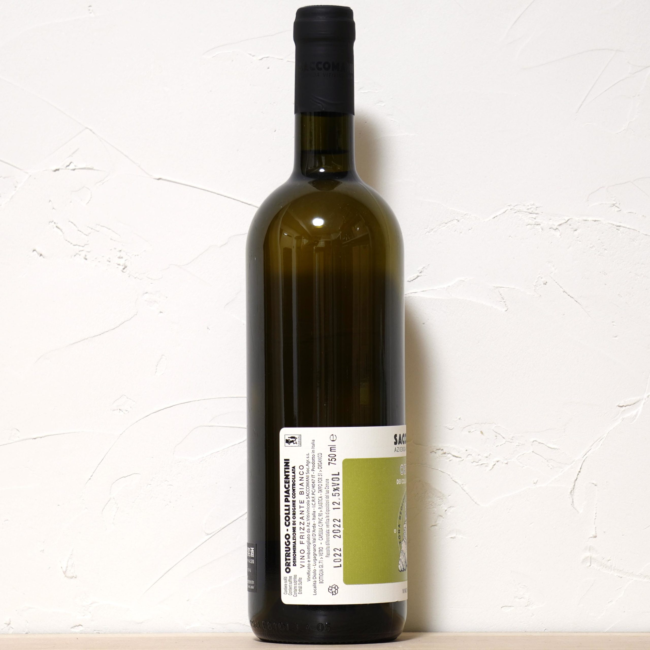 オルトゥルゴ 2022-サッコマーニ