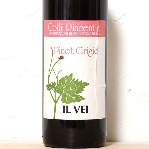 ピノ グリージョ 2023-イル ヴェイ