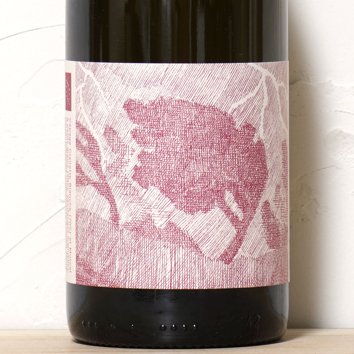 プランタン ソヴァージュ 2023-ルバック