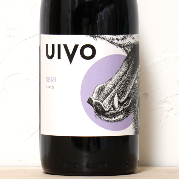 セミC 2022-フォリアス・デ・バコ