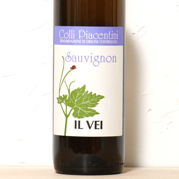 ソーヴィニョン 2023-イル ヴェイ