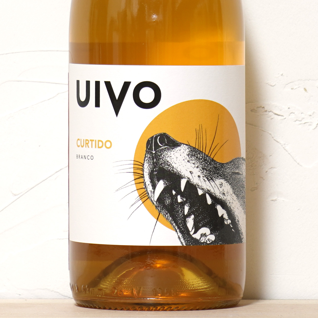 UIVO CURTIDO 2023-FOLIAS DE BACO