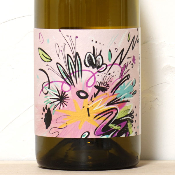 ブルーム 2023-ヴァン・デ・ポット