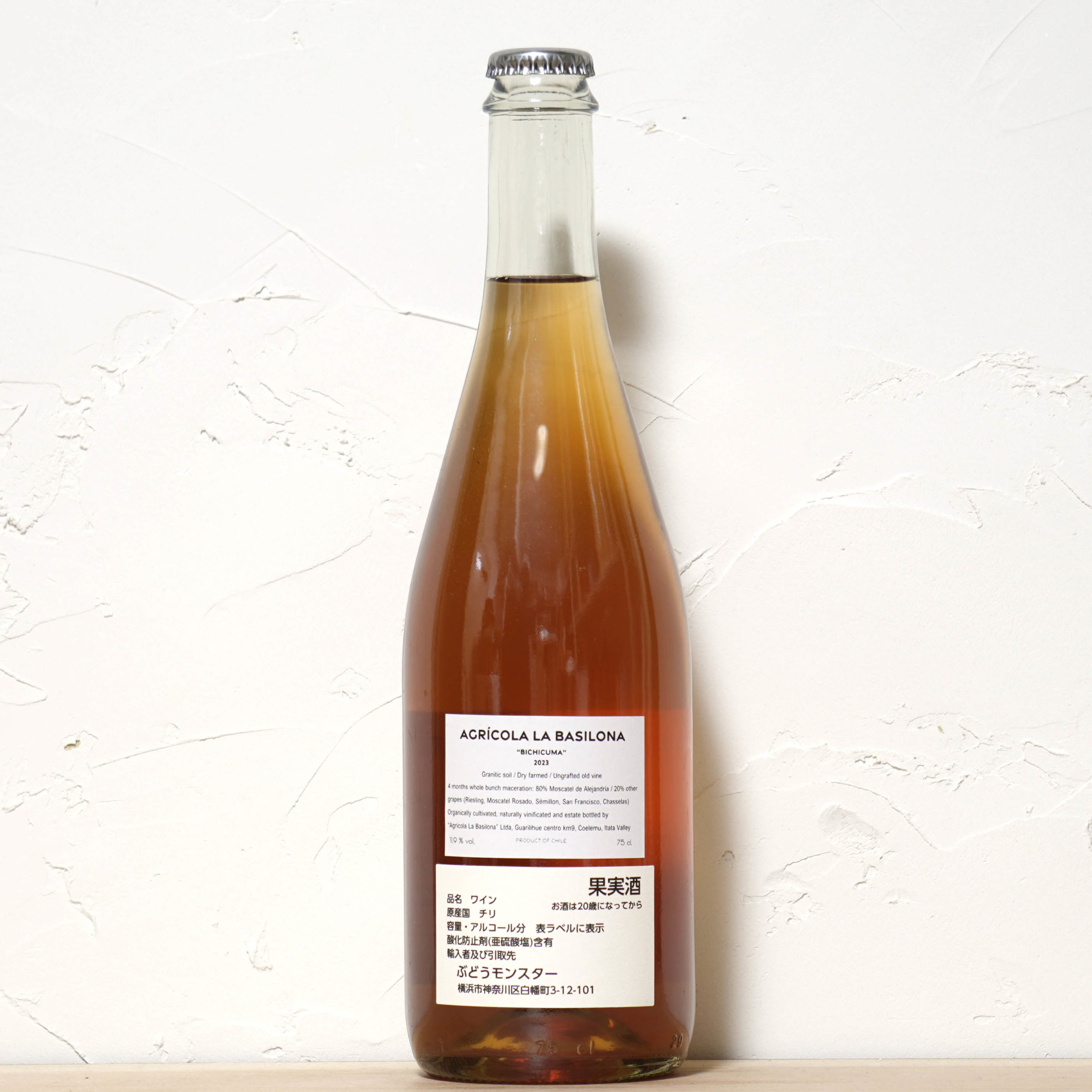 ビチクマ2023-ラ バシローナ