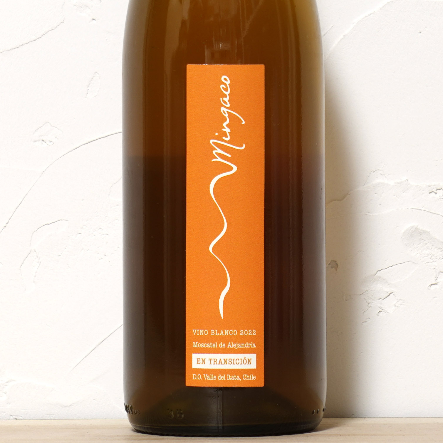 エン・トランシシオン2022-ミンガコ