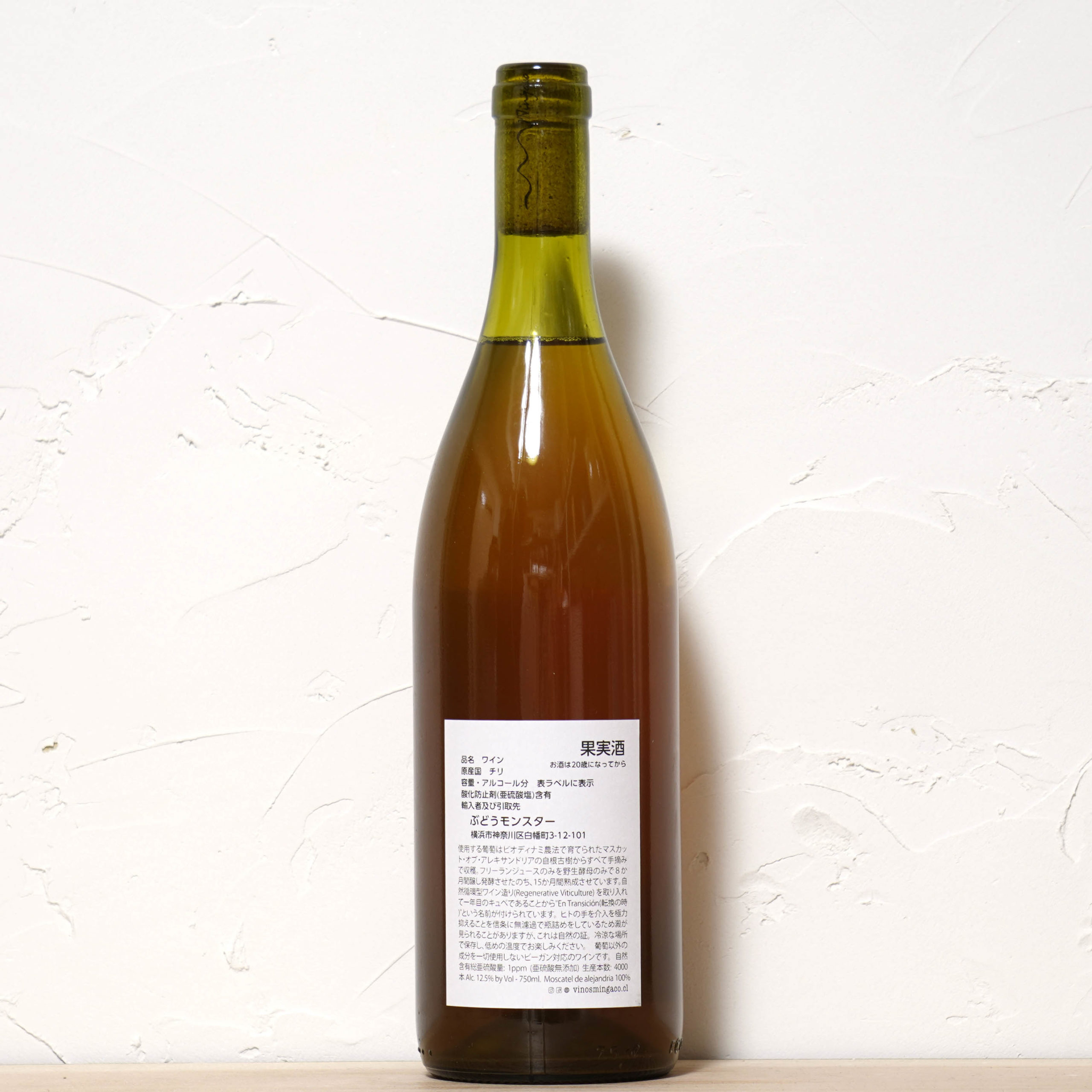 エン・トランシシオン2022-ミンガコ