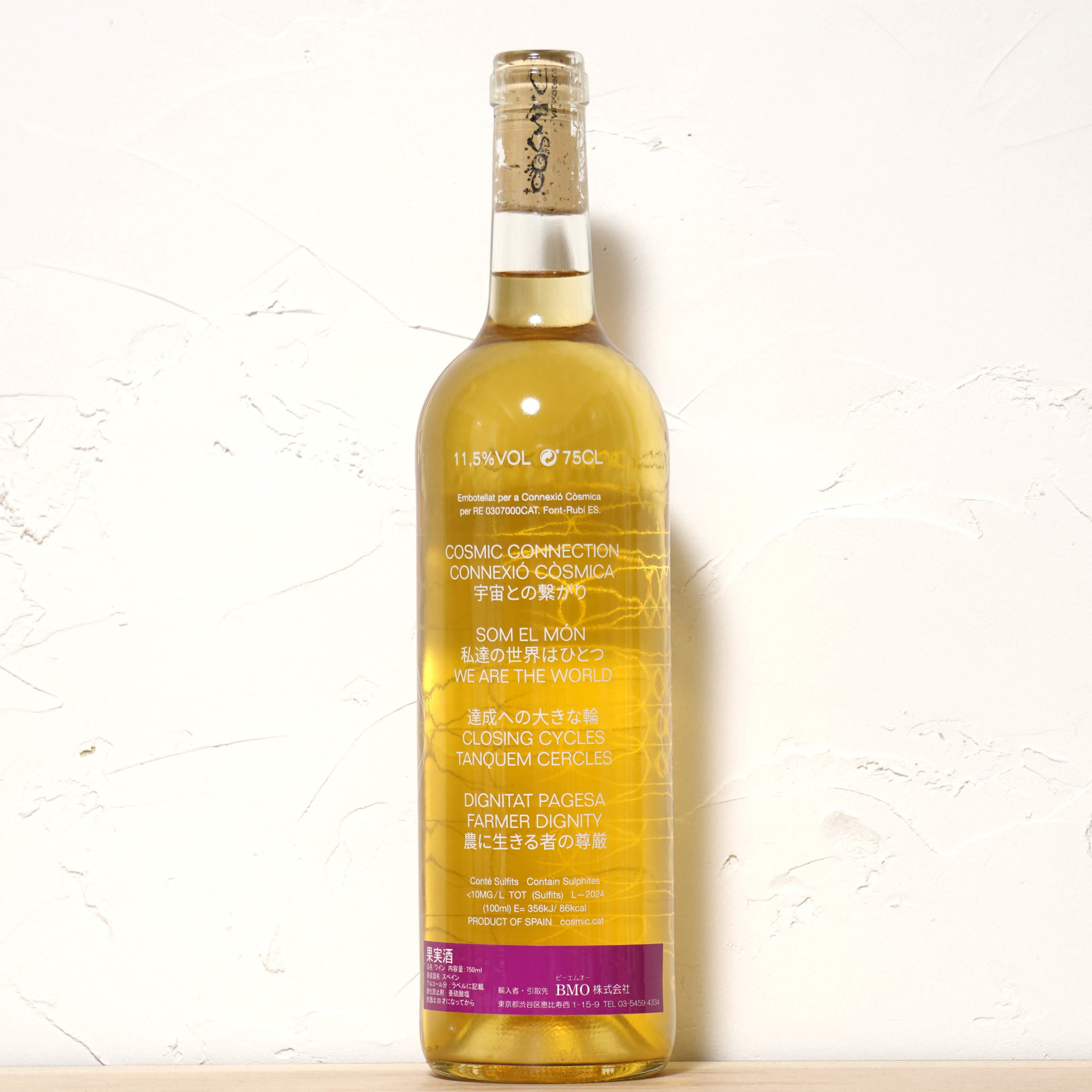 CONNEXIO COSMICA 2024-COSMIC VINYATERS 