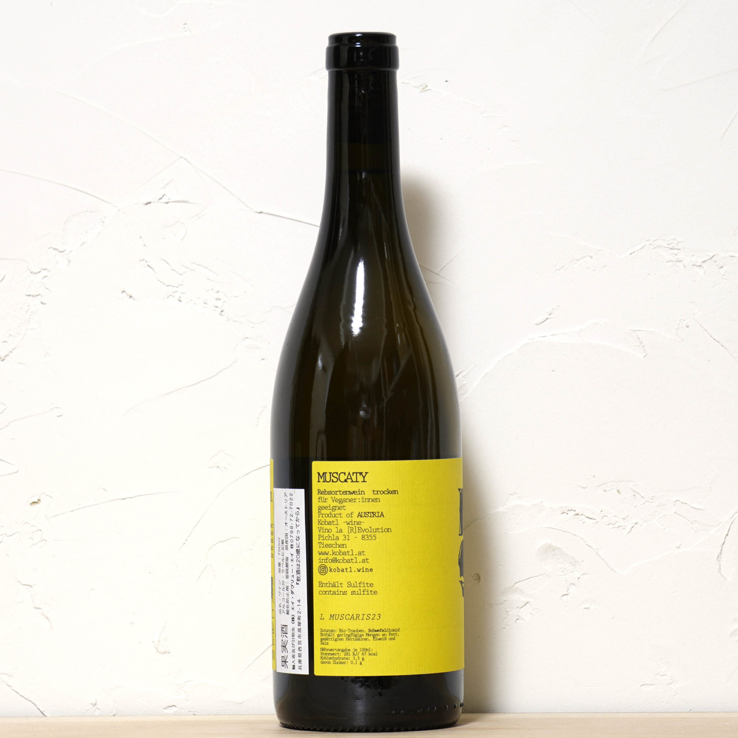 Muscaty 2023-kobatl 