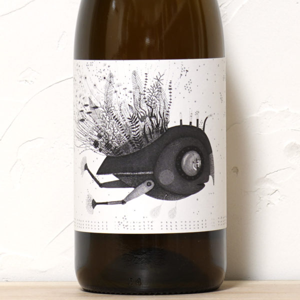 ポデーレ・サン・ビアージョ 2022-ポデーレ・サン・ビアージョ