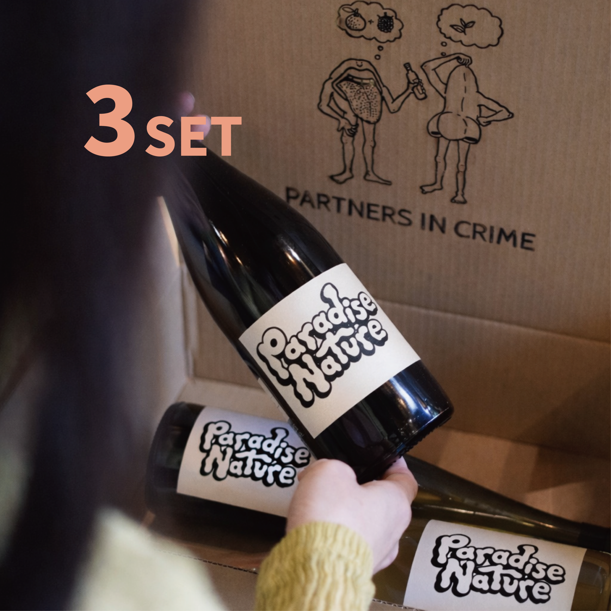 厳選ナチュラルワイン3本セット